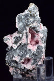 6.2cms RHODOCHROSITE ROSETTE QUARTZ Peru Crystals Collector Mineral Specimen R745