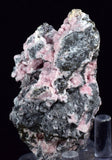 6.2cms RHODOCHROSITE ROSETTE QUARTZ Peru Crystals Collector Mineral Specimen R745