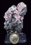 6.2cms RHODOCHROSITE ROSETTE QUARTZ Peru Crystals Collector Mineral Specimen R745