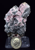 6.2cms RHODOCHROSITE ROSETTE QUARTZ Peru Crystals Collector Mineral Specimen R745