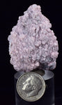 4.2cms RHODOCHROSITE ROSETTE QUARTZ Peru Crystals Collector Mineral Specimen R747