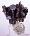 4cms AXINITE QUARTZ CRYSTALS Epidote Cluster Prehnite Peru Mineral Specimen Collectors A610