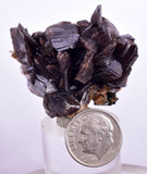4cms AXINITE QUARTZ CRYSTALS Epidote Cluster Prehnite Peru Mineral Specimen Collectors A610