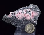 7.1cms RHODOCHROSITE ROSETTE QUARTZ Peru Crystals Collector Mineral Specimen R750