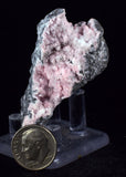 5.6cms RHODOCHROSITE ROSETTE QUARTZ Peru Crystals Collector Mineral Specimen R751