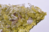 4.5cms AXINITE QUARTZ CRYSTALS Cluster Prehnite Peru Mineral Specimen Collectors A591