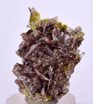 3.5cms AXINITE QUARTZ CRYSTALS Cluster Prehnite Peru Mineral Specimen Collectors A592