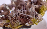 3.5cms AXINITE QUARTZ CRYSTALS Cluster Prehnite Peru Mineral Specimen Collectors A592