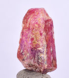18cts RUBY CRYSTAL CORUNDUM Natural Rough Red Tanzania Mineral Specimen Y85