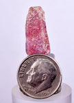 16cts RUBY CRYSTAL CORUNDUM Natural Rough Red Tanzania Mineral Specimen Y86