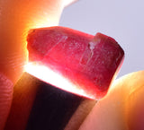 5.5cts RUBY CRYSTAL CORUNDUM Natural Rough Red Tanzania Mineral Specimen Y87
