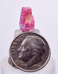 5cts RUBY CRYSTAL CORUNDUM Natural Rough Red Tanzania Mineral Specimen Y88