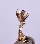 0.7cms NATIVE SILVER WIRES  Peru Mineral Specimen H374