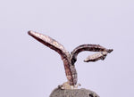 0.6cms NATIVE SILVER WIRES  Peru Mineral Specimen H375