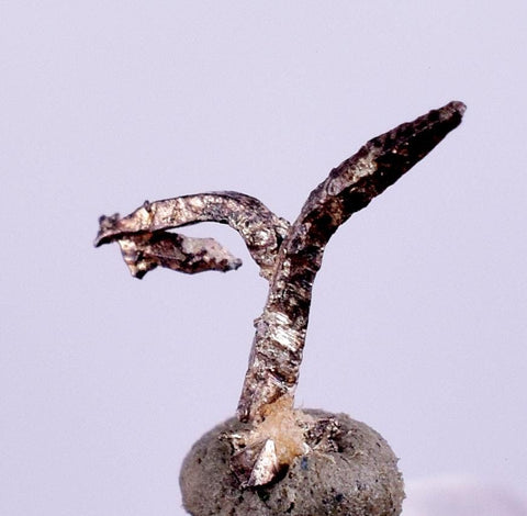 0.6cms NATIVE SILVER WIRES  Peru Mineral Specimen H375
