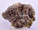 5.3cms AXINITE QUARTZ CRYSTALS Cluster Prehnite Peru Mineral Specimen Collectors A593
