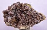 5.3cms AXINITE QUARTZ CRYSTALS Cluster Prehnite Peru Mineral Specimen Collectors A593
