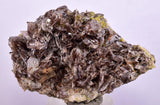 5.3cms AXINITE QUARTZ CRYSTALS Cluster Prehnite Peru Mineral Specimen Collectors A593