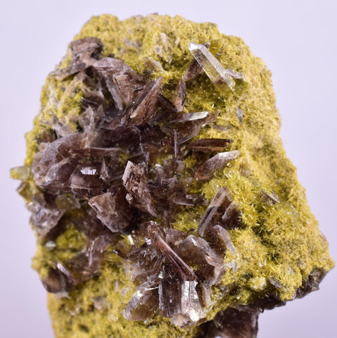 4.5cms AXINITE QUARTZ CRYSTALS Cluster Prehnite Peru Mineral Specimen Collectors A594