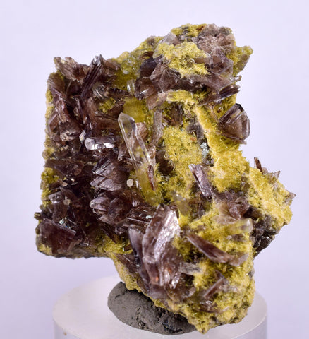 3.1cms AXINITE QUARTZ CRYSTALS Cluster Prehnite Peru Mineral Specimen Collectors A595.
.