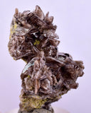 3.5cms AXINITE CRYSTALS Cluster Prehnite Peru Mineral Specimen Collectors A596