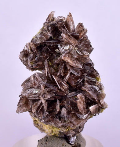 3.5cms AXINITE CRYSTALS Cluster Prehnite Peru Mineral Specimen Collectors A596