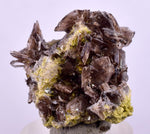 2.4cms AXINITE CRYSTALS Cluster Prehnite Peru Mineral Specimen Collectors A597