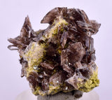 2.4cms AXINITE CRYSTALS Cluster Prehnite Peru Mineral Specimen Collectors A597