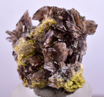 2.4cms AXINITE CRYSTALS Cluster Prehnite Peru Mineral Specimen Collectors A597