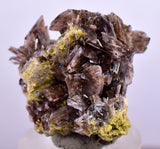 2.4cms AXINITE CRYSTALS Cluster Prehnite Peru Mineral Specimen Collectors A597