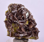 4cms AXINITE CRYSTALS Cluster Prehnite Peru Mineral Specimen Collectors A598
