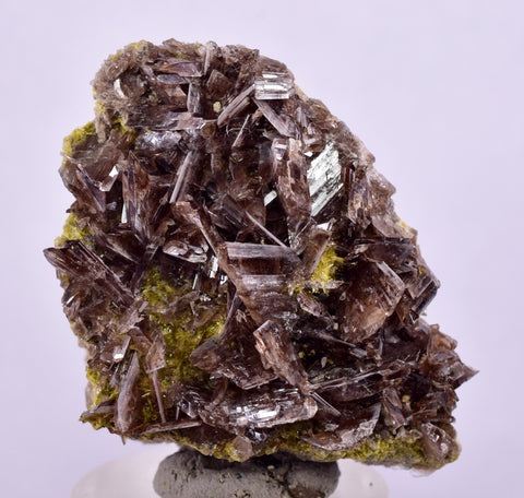 4cms AXINITE CRYSTALS Cluster Prehnite Peru Mineral Specimen Collectors A598