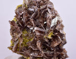 4cms AXINITE CRYSTALS Cluster Prehnite Peru Mineral Specimen Collectors A598
