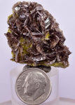4cms AXINITE CRYSTALS Cluster Prehnite Peru Mineral Specimen Collectors A598