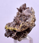 3cms AXINITE CRYSTALS Cluster Prehnite Peru Mineral Specimen Collectors A599