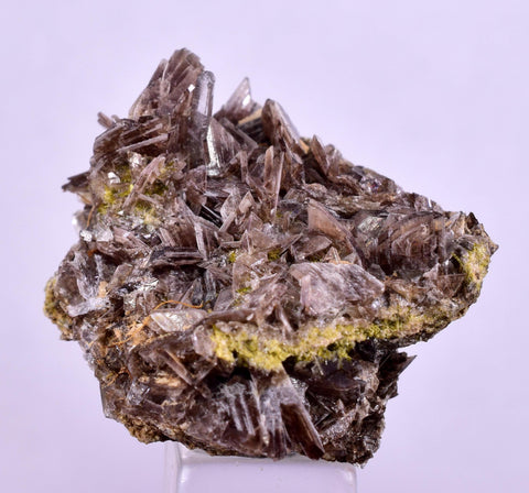 3cms AXINITE CRYSTALS Cluster Prehnite Peru Mineral Specimen Collectors A599