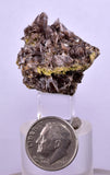3cms AXINITE CRYSTALS Cluster Prehnite Peru Mineral Specimen Collectors A599