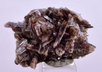 2.8cms AXINITE CRYSTALS Cluster Prehnite Peru Mineral Specimen Collectors A600
