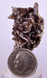 2.8cms AXINITE CRYSTALS Cluster Prehnite Peru Mineral Specimen Collectors A600
