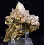 8.6cms CALCITE TOOTH DOG Peru Crystals Mineral Specimen Collector G266