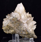 8.6cms CALCITE TOOTH DOG Peru Crystals Mineral Specimen Collector G266