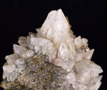 8.6cms CALCITE TOOTH DOG Peru Crystals Mineral Specimen Collector G266