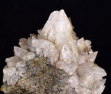 8.6cms CALCITE TOOTH DOG Peru Crystals Mineral Specimen Collector G266