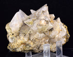 9cms CALCITE TOOTH DOG Peru Crystals Mineral Specimen Collector G267