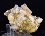 9cms CALCITE TOOTH DOG Peru Crystals Mineral Specimen Collector G267