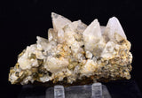 9cms CALCITE TOOTH DOG Peru Crystals Mineral Specimen Collector G267