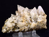 9cms CALCITE TOOTH DOG Peru Crystals Mineral Specimen Collector G267