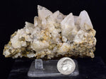 9cms CALCITE TOOTH DOG Peru Crystals Mineral Specimen Collector G267