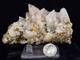 9cms CALCITE TOOTH DOG Peru Crystals Mineral Specimen Collector G267