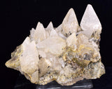 9.6cms CALCITE TOOTH DOG Peru Crystals Mineral Specimen Collector G268